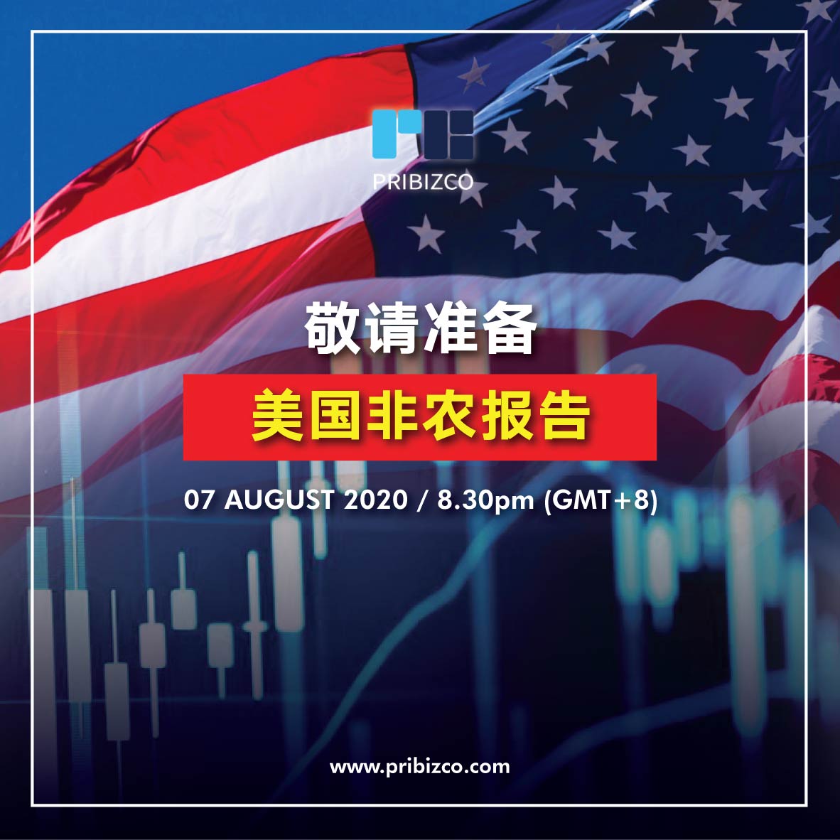 PRIBIZCO 美国非农报告